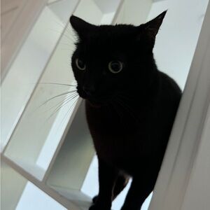 Meet your Posher, Juan diego